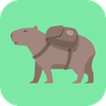 Capy-Dash